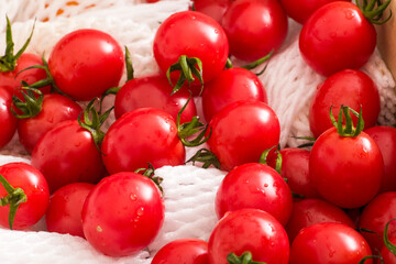 Fresh plump cherry tomatoes