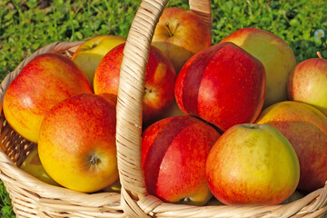 Äpfel im Korb in einer Nahaufnahme