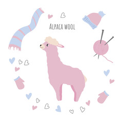 Vector card with cute alpaca and knitting. Isolated, flat, white background