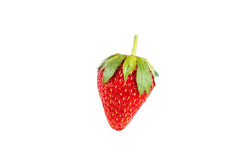 Fresh strawberry photo on white clear background