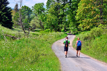 Young tourist couple walking along the forest road in sunny summer day