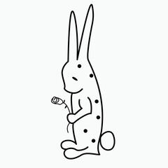 
Hare with a rose, rabbit, bunny,  animal