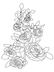 line art of rose bouquet