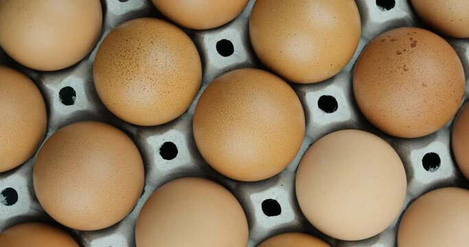 Top view rotate shot close up of raw chicken egg pattern on the egg panel 