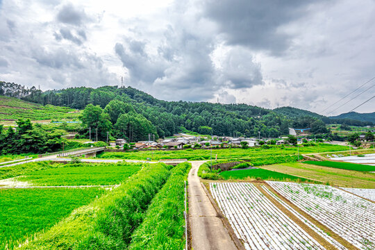 939 Best 里山風景 Images Stock Photos Vectors Adobe Stock