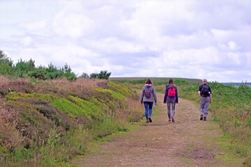 Three generations enjoy a family walk at Broxa Forest, during the easing of lockdown restrictions.