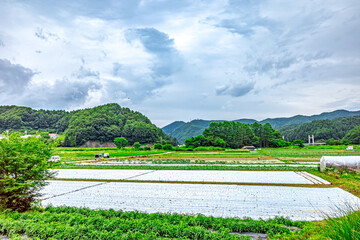【ふるさとイメージ】日本の里山風景