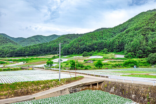 939 Best 里山風景 Images Stock Photos Vectors Adobe Stock