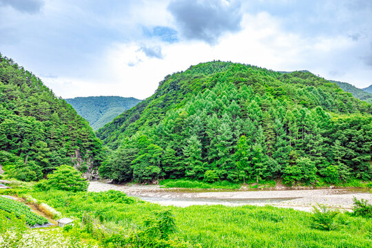 913 Best 里山風景 Images Stock Photos Vectors Adobe Stock 913 Best 里山風景 Images Stock Photos Vectors Adobe Stock