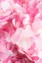 Obraz premium Wavy composition of amazing pink textile petals