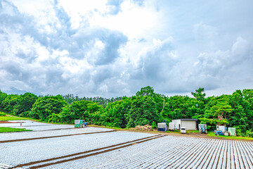 【ふるさとイメージ】日本の里山風景