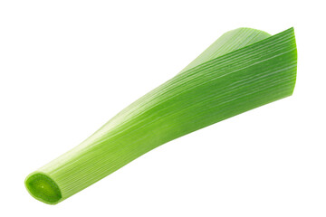 Leek,  spring green onion stem isolated
