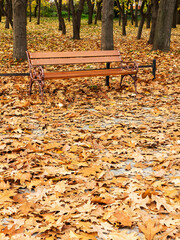 Beautiful authentic landscape of city park in the fall, selective focus. Varna, Bulgaria