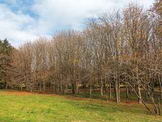 Beautiful authentic landscape of city park in the fall. Varna, Bulgaria