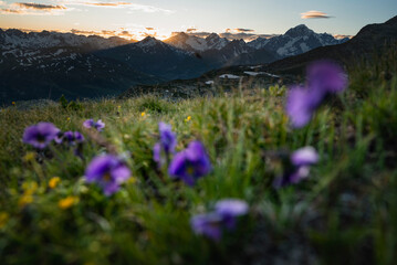 primavera in valle d'aosta