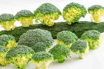 Fresh green broccoli