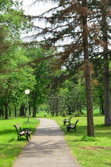 Path in the park with benches next to it