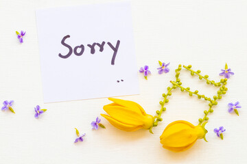 sorry message card handwriting with  yellow flowers ylang ylang arrangement music score flat lay postcard style on background white wooden