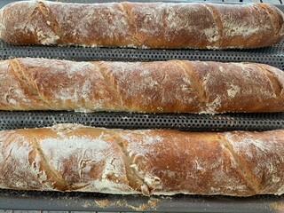 fresh baked bread baguettes