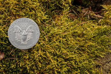 Silbermünze (1 Oz American Silver Eagle) auf Moos in der Natur