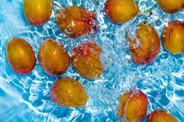 Fresh juicy prunes