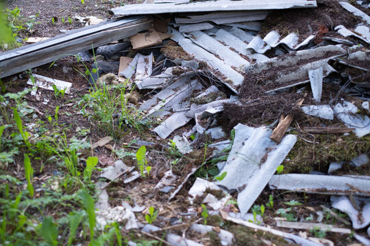 Broken asbestos cement sheets in nature, toxic waste