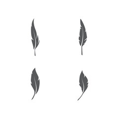 Set Feathers Logo Template vector