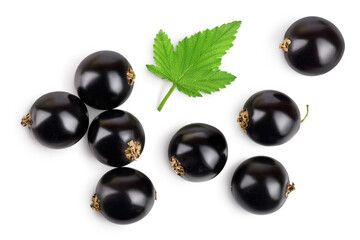 black currant with leaves isolated on white background with clipping path. Top view. Flat lay pattern