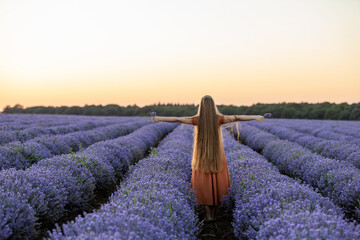 Back view of pretty girl with long hair and in orange dress stays among the blooming luscious landscape of violet lavender flowers on field at sunset and holds a bouquet. Summer travel concept.