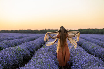 Back view of pretty girl with long hair and in orange dress stays among the blooming luscious landscape of violet lavender flowers on field at sunset and holds two bouquets. Summer travel concept.