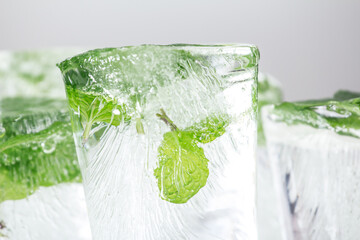Chilled green mint leaves