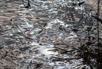 glare on the lake (blue)
