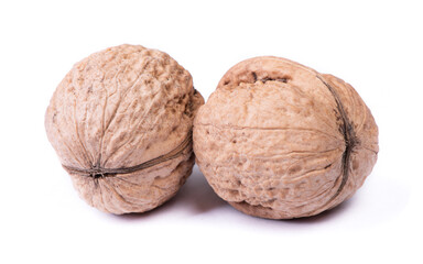 Few big walnuts