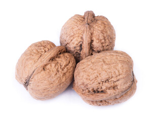 Few big walnuts