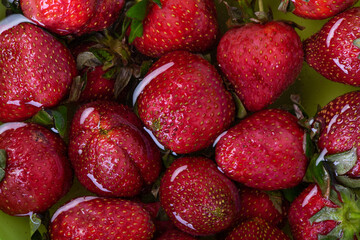 Harvest of fresh natural strawberries