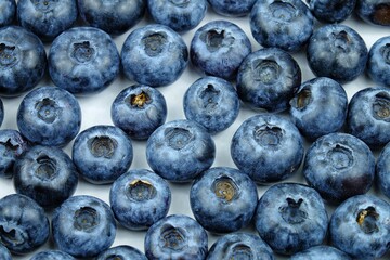 Fresh blueberries, vitamins