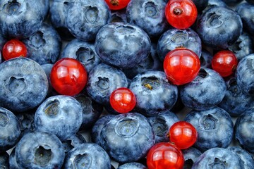 Fresh blueberries and red currants, vitamins
