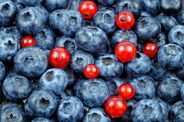 Fresh blueberries and red currants, vitamins