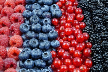 Fresh summer healthy berries