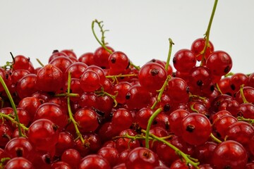 Freshly picked ripe red currant