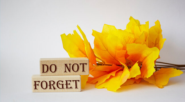 Don't forget something on the wooden blocks and light background. In the background, a branch of orange foliage