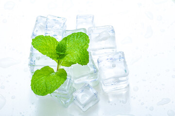 Cool and transparent ice cubes in summer