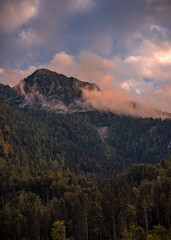 Deutschland Bayern , Oberbayern , Berchtesgadener Land , Landschaft
