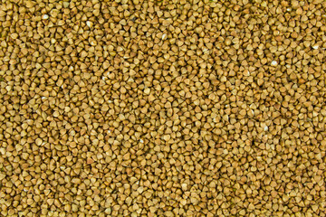 Brown raw buckwheat grains texture background.