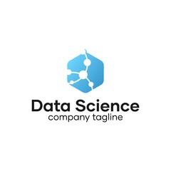 Data Science Analytical Logo Design Idea
