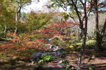 紅葉の京都