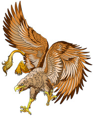 Flying Griffin, griffon, or gryphon. A mythical beast having the body of a lion and the wings and head of an eagle. Vector illustration