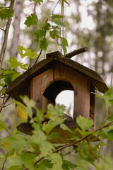 Fototapeta na wymiar Birdhouse among green leaves is waiting for its feathered visitors, close up