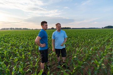 Landwirtschaft - Maisanbau, Landwirt mit seinem Sohn in einem jungen Maisbestand beurteilen das Pflanzenwachstum.