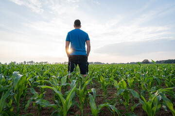 Ackerbau - Landwirt steht im Gegenlicht der untergehenden Sonne im jungen Maisbestand.